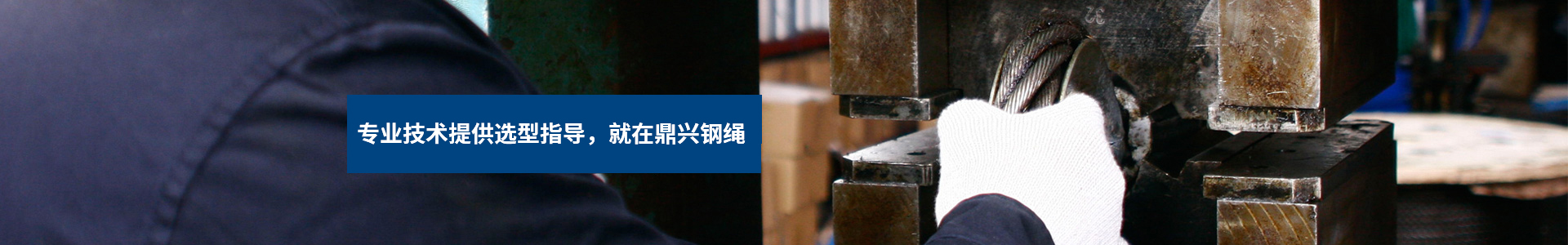新聞動態